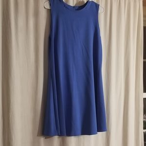 Blue Skater Dress